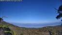 ./images/calvert/fitz-hugh-hecate/20250716/fitz-hugh-hecate20250716_160510M.jpg