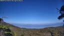 ./images/calvert/fitz-hugh-hecate/20250716/fitz-hugh-hecate20250716_161009M.jpg