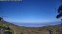 ./images/calvert/fitz-hugh-hecate/20250716/fitz-hugh-hecate20250716_161509M.jpg
