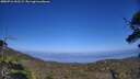 ./images/calvert/fitz-hugh-hecate/20250716/fitz-hugh-hecate20250716_162509M.jpg