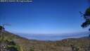 ./images/calvert/fitz-hugh-hecate/20250716/fitz-hugh-hecate20250716_163510M.jpg