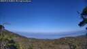 ./images/calvert/fitz-hugh-hecate/20250716/fitz-hugh-hecate20250716_164010M.jpg