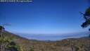 ./images/calvert/fitz-hugh-hecate/20250716/fitz-hugh-hecate20250716_164509M.jpg