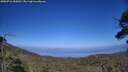./images/calvert/fitz-hugh-hecate/20250716/fitz-hugh-hecate20250716_165011M.jpg