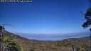 ./images/calvert/fitz-hugh-hecate/20250716/fitz-hugh-hecate20250716_165510M.jpg