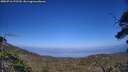 ./images/calvert/fitz-hugh-hecate/20250716/fitz-hugh-hecate20250716_172510M.jpg