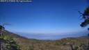 ./images/calvert/fitz-hugh-hecate/20250716/fitz-hugh-hecate20250716_174010M.jpg