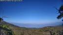 ./images/calvert/fitz-hugh-hecate/20250716/fitz-hugh-hecate20250716_175009M.jpg