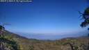 ./images/calvert/fitz-hugh-hecate/20250716/fitz-hugh-hecate20250716_180507M.jpg