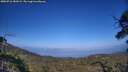 ./images/calvert/fitz-hugh-hecate/20250716/fitz-hugh-hecate20250716_181009M.jpg
