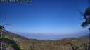 ./images/calvert/fitz-hugh-hecate/20250716/fitz-hugh-hecate20250716_181510M.jpg