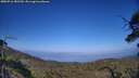 ./images/calvert/fitz-hugh-hecate/20250716/fitz-hugh-hecate20250716_182509M.jpg