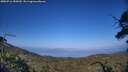 ./images/calvert/fitz-hugh-hecate/20250716/fitz-hugh-hecate20250716_185010M.jpg