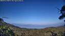 ./images/calvert/fitz-hugh-hecate/20250716/fitz-hugh-hecate20250716_190009M.jpg
