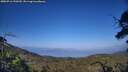./images/calvert/fitz-hugh-hecate/20250716/fitz-hugh-hecate20250716_190509M.jpg