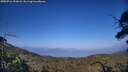 ./images/calvert/fitz-hugh-hecate/20250716/fitz-hugh-hecate20250716_191009M.jpg