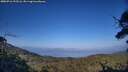 ./images/calvert/fitz-hugh-hecate/20250716/fitz-hugh-hecate20250716_192506M.jpg