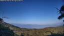 ./images/calvert/fitz-hugh-hecate/20250716/fitz-hugh-hecate20250716_193508M.jpg