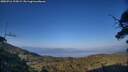 ./images/calvert/fitz-hugh-hecate/20250716/fitz-hugh-hecate20250716_195009M.jpg