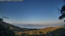 ./images/calvert/fitz-hugh-hecate/20250716/fitz-hugh-hecate20250716_204008M.jpg