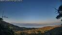 ./images/calvert/fitz-hugh-hecate/20250716/fitz-hugh-hecate20250716_204508M.jpg