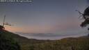 ./images/calvert/fitz-hugh-hecate/20250716/fitz-hugh-hecate20250716_220008M.jpg