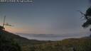 ./images/calvert/fitz-hugh-hecate/20250716/fitz-hugh-hecate20250716_221009M.jpg