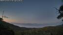 ./images/calvert/fitz-hugh-hecate/20250716/fitz-hugh-hecate20250716_221506M.jpg