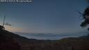 ./images/calvert/fitz-hugh-hecate/20250716/fitz-hugh-hecate20250716_222508M.jpg