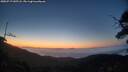 ./images/calvert/fitz-hugh-hecate/20250717/fitz-hugh-hecate20250717_045508M.jpg
