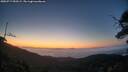./images/calvert/fitz-hugh-hecate/20250717/fitz-hugh-hecate20250717_050508M.jpg