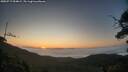 ./images/calvert/fitz-hugh-hecate/20250717/fitz-hugh-hecate20250717_054009M.jpg