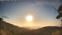 ./images/calvert/fitz-hugh-hecate/20250717/fitz-hugh-hecate20250717_065009M.jpg