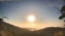 ./images/calvert/fitz-hugh-hecate/20250717/fitz-hugh-hecate20250717_065510M.jpg