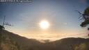 ./images/calvert/fitz-hugh-hecate/20250717/fitz-hugh-hecate20250717_070507M.jpg