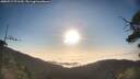 ./images/calvert/fitz-hugh-hecate/20250717/fitz-hugh-hecate20250717_071510M.jpg