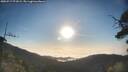 ./images/calvert/fitz-hugh-hecate/20250717/fitz-hugh-hecate20250717_072008M.jpg