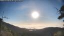 ./images/calvert/fitz-hugh-hecate/20250717/fitz-hugh-hecate20250717_073510M.jpg