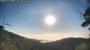 ./images/calvert/fitz-hugh-hecate/20250717/fitz-hugh-hecate20250717_074010M.jpg