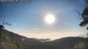 ./images/calvert/fitz-hugh-hecate/20250717/fitz-hugh-hecate20250717_074507M.jpg