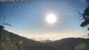 ./images/calvert/fitz-hugh-hecate/20250717/fitz-hugh-hecate20250717_075010M.jpg