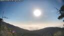 ./images/calvert/fitz-hugh-hecate/20250717/fitz-hugh-hecate20250717_075509M.jpg