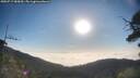 ./images/calvert/fitz-hugh-hecate/20250717/fitz-hugh-hecate20250717_080010M.jpg