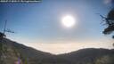 ./images/calvert/fitz-hugh-hecate/20250717/fitz-hugh-hecate20250717_080508M.jpg
