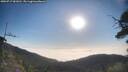 ./images/calvert/fitz-hugh-hecate/20250717/fitz-hugh-hecate20250717_081010M.jpg