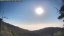 ./images/calvert/fitz-hugh-hecate/20250717/fitz-hugh-hecate20250717_081511M.jpg