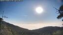 ./images/calvert/fitz-hugh-hecate/20250717/fitz-hugh-hecate20250717_082008M.jpg