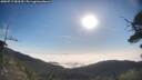 ./images/calvert/fitz-hugh-hecate/20250717/fitz-hugh-hecate20250717_082510M.jpg