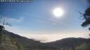 ./images/calvert/fitz-hugh-hecate/20250717/fitz-hugh-hecate20250717_083509M.jpg