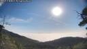./images/calvert/fitz-hugh-hecate/20250717/fitz-hugh-hecate20250717_084009M.jpg